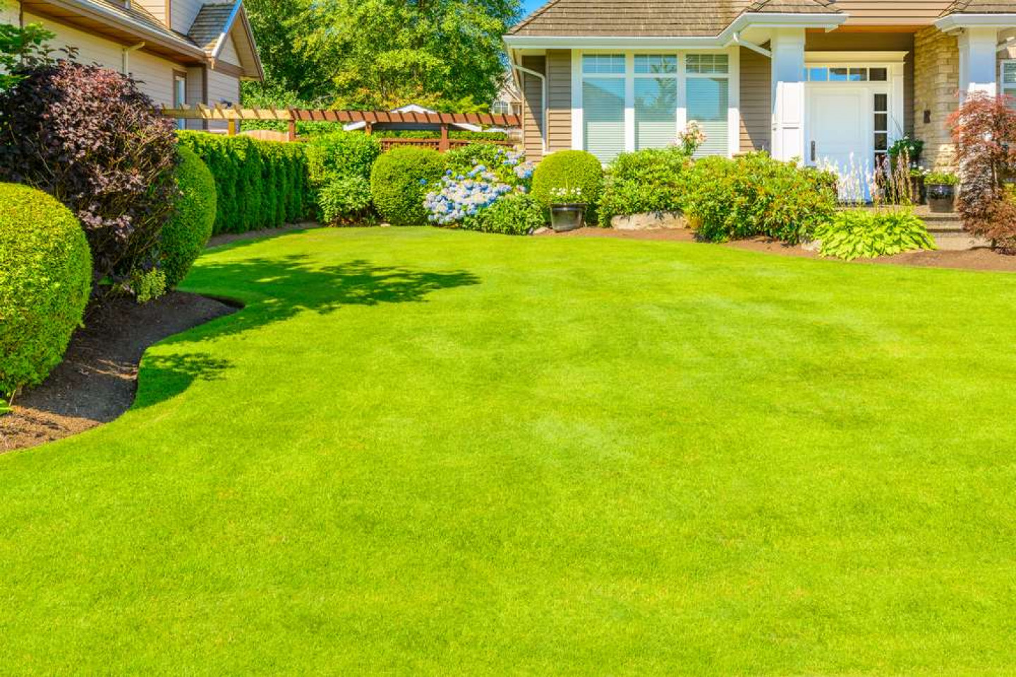 Professional Lawn dethatching & Lawn Aeration Services Gonzalez, LA